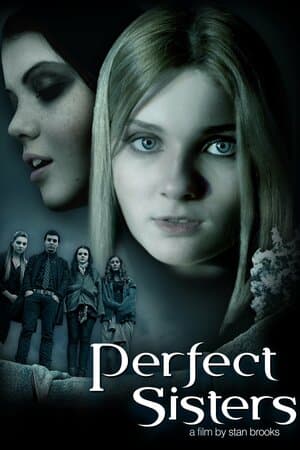 Perfect Sisters poster art