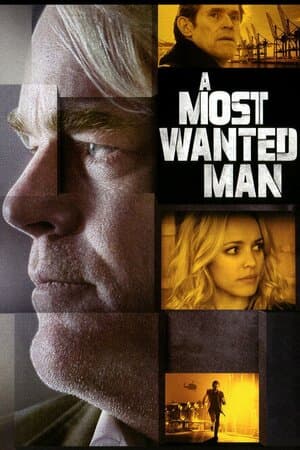 A Most Wanted Man poster art