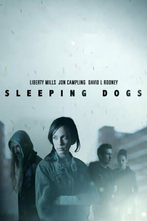 Sleeping Dogs poster art