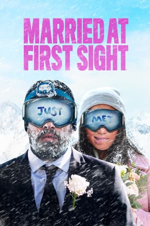 Married at First Sight poster art