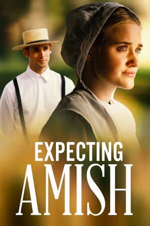 Expecting Amish poster art