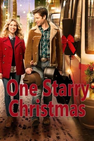 One Starry Christmas poster art