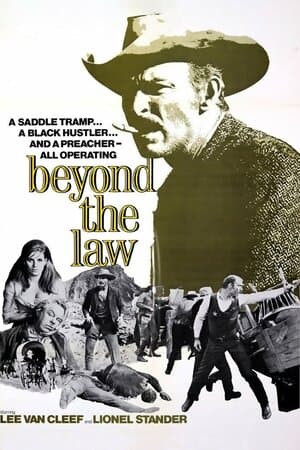 Beyond The Law poster art