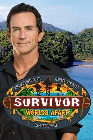 Survivor poster art