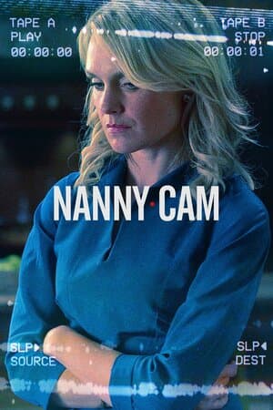 Nanny Cam poster art