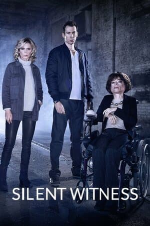 Silent Witness poster art