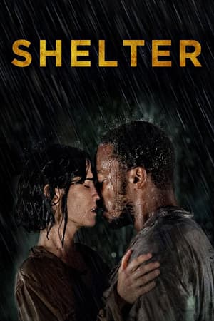 Shelter poster art