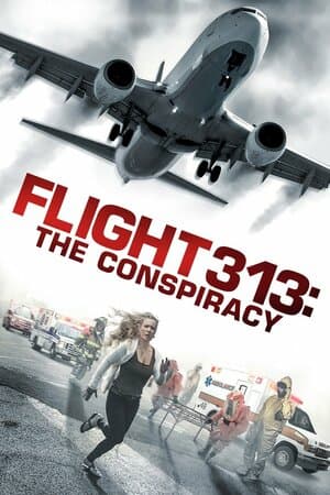 Flight 313: The Conspiracy poster art