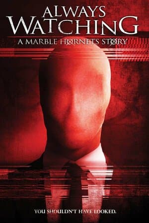 Always Watching: A Marble Hornets Story poster art