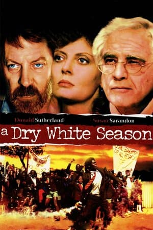 A Dry White Season poster art