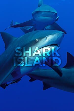 Shark Island poster art