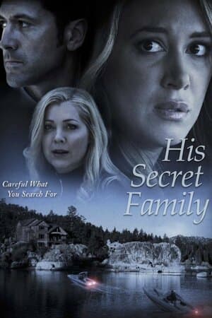 His Secret Family poster art