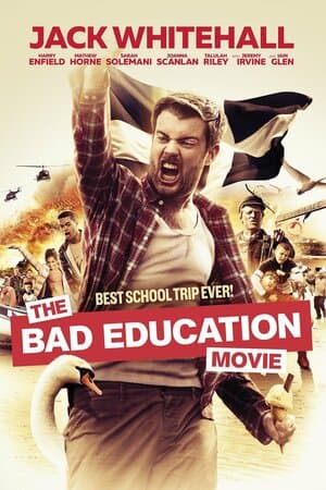 The Bad Education Movie poster art