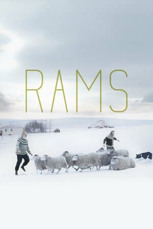 Rams poster art