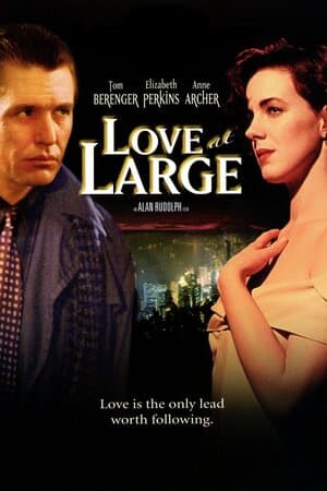 Love at Large poster art