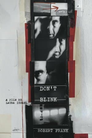 Don't Blink -- Robert Frank poster art