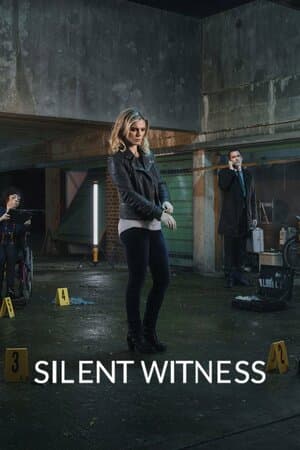 Silent Witness poster art