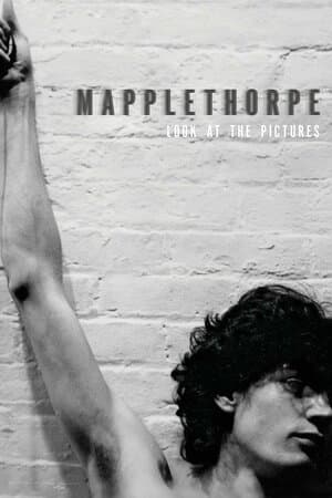 Mapplethorpe: Look at the Pictures poster art