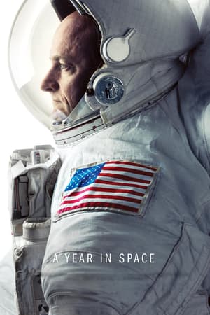 A Year in Space poster art