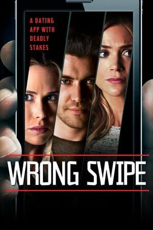 Wrong Swipe poster art