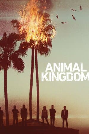 Animal Kingdom poster art