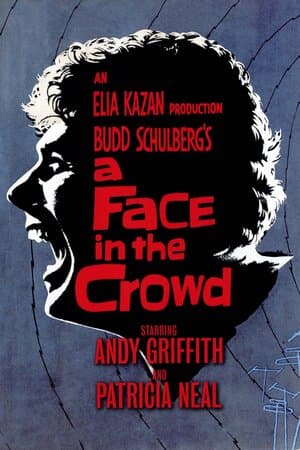 A Face in the Crowd poster art