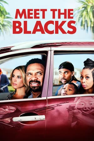 Meet the Blacks poster art