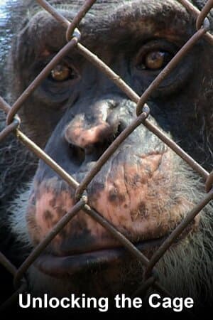 Unlocking the Cage poster art