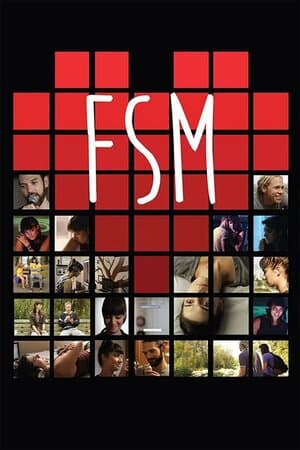 FSM poster art