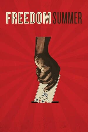 Freedom Summer poster art