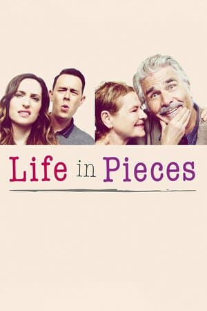 Life in Pieces poster art