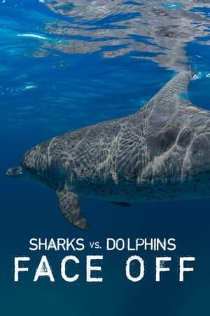 Sharks vs. Dolphins: Face Off poster art