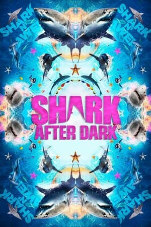 Shark After Dark poster art