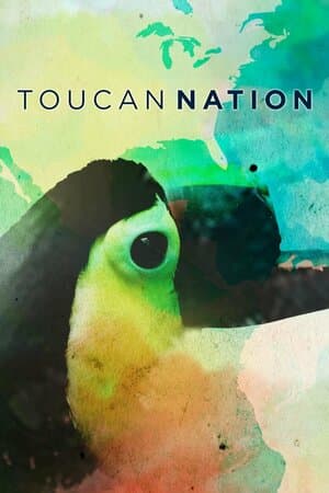 Toucan Nation poster art