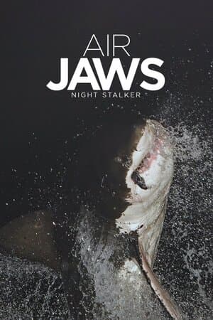 Air Jaws: Night Stalker poster art