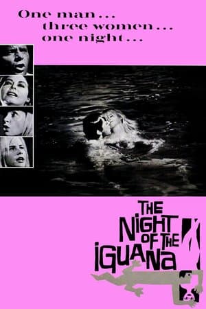 The Night of the Iguana poster art