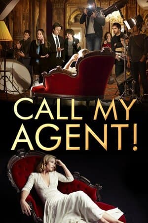 Call My Agent! poster art