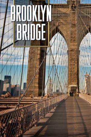 Brooklyn Bridge poster art