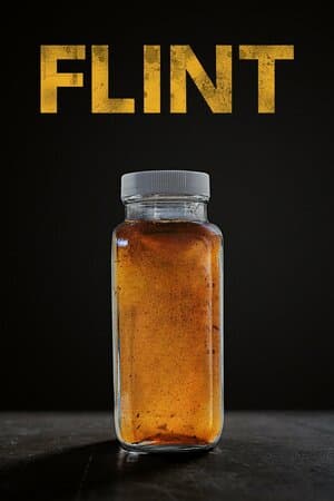 Flint poster art