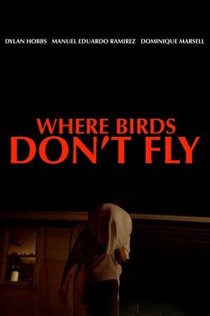 Where Birds Don't Fly poster art