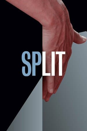 Split poster art