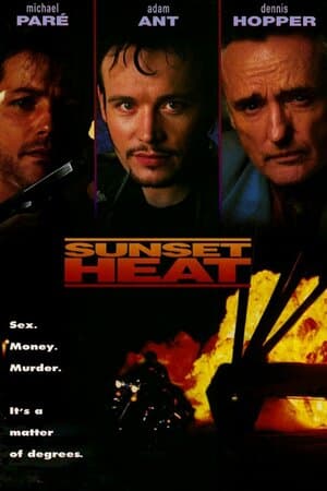 Sunset Heat poster art