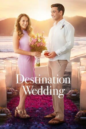 Destination Wedding poster art