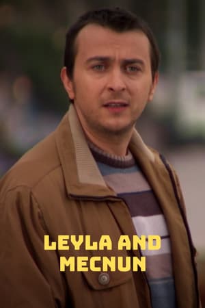 Leyla and Mecnun poster art