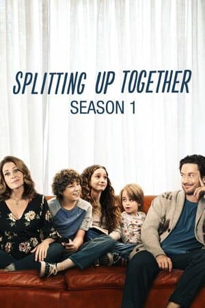 Splitting Up Together poster art