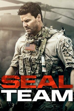 SEAL Team poster art