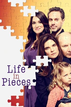 Life in Pieces poster art