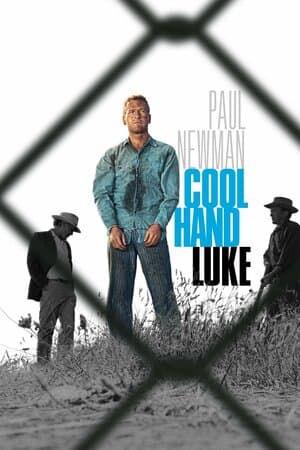 Cool Hand Luke poster art