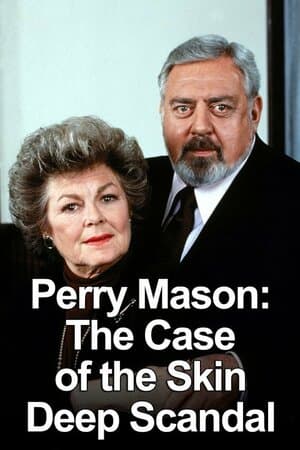 Perry Mason: The Case of the Skin-Deep Scandal poster art