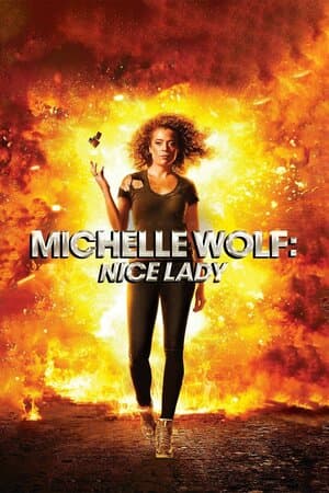 Michelle Wolf: Nice Lady poster art